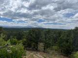 24900 County Rd 30.1 - Photo 26