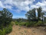 24900 County Rd 30.1 - Photo 28