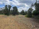 24900 County Rd 30.1 - Photo 30