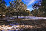 33081 Oak Park Drive - Photo 43