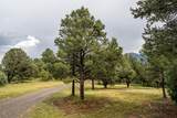 33081 Oak Park Drive - Photo 50