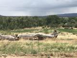 TBD County Road 571 - Photo 4