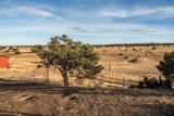1950 Co Rd 510 - Photo 54