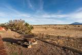 1950 Co Rd 510 - Photo 58