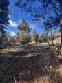 TBD Forbes Rd - Photo 12