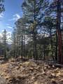 TBD Forbes Rd - Photo 13