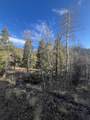 TBD Forbes Rd - Photo 3