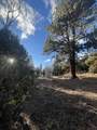 TBD Forbes Rd - Photo 8