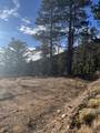 TBD Forbes Rd - Photo 9