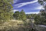 34765 County Road 20.2 - Photo 43
