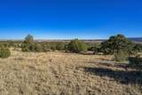15311 Rancho Verde Rd - Photo 7