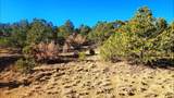 11298 Primero Ranch Rd - Photo 10