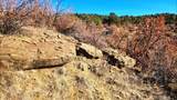 11298 Primero Ranch Rd - Photo 11