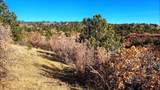 11298 Primero Ranch Rd - Photo 17
