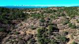 11298 Primero Ranch Rd - Photo 35