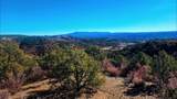 11298 Primero Ranch Rd - Photo 4