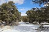 7302 Tiernan Rd - Photo 10