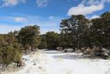 7302 Tiernan Rd - Photo 6