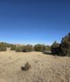 TBD Salida Drive - Photo 8
