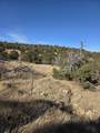 TBD Salida Drive - Photo 2