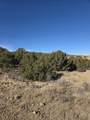 TBD Salida Drive - Photo 7