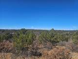 TBD Ponderosa Drive - Photo 15