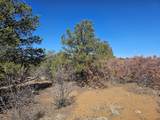 TBD Ponderosa Drive - Photo 19