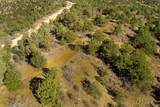 TBD Ponderosa Drive - Photo 29