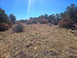 TBD Ponderosa Drive - Photo 34