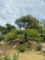 6834 Us Hwy -160 - Photo 10