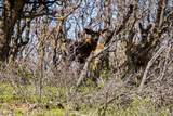 TBD Rilling Canyon - Photo 20