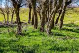 TBD Rilling Canyon - Photo 22