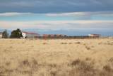 225 IL Ranch Rd - Photo 44