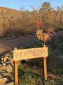437 Maverick Trail - Photo 59