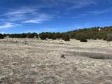 TBD Comanche Drive - Photo 6