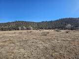 30101 County Rd 53.1 - Photo 19