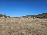 30101 County Rd 53.1 - Photo 20