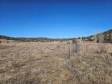 30101 County Rd 53.1 - Photo 29