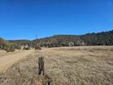 30101 County Rd 53.1 - Photo 35