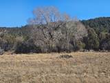 30101 County Rd 53.1 - Photo 9