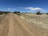 Lot 241 Greenhorn Village - Photo 10