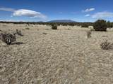 Lot 241 Greenhorn Village - Photo 11