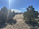 Lot 241 Greenhorn Village - Photo 14