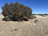 Lot 241 Greenhorn Village - Photo 4