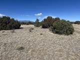 Lot 241 Greenhorn Village - Photo 6