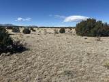 Lot 241 Greenhorn Village - Photo 7