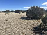 Lot 241 Greenhorn Village - Photo 9