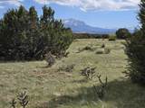 8 Tres Amigos Trail - Photo 1