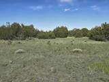 8 Tres Amigos Trail - Photo 10