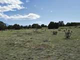 8 Tres Amigos Trail - Photo 12